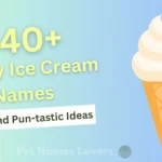 Funny Ice Cream Names