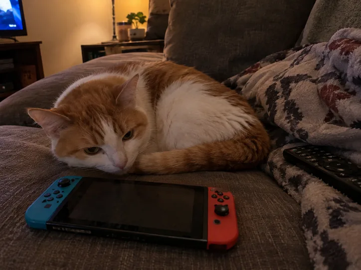 Cat resting beside a handheld game console, gaming-themed cat name ideas