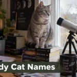 Grey tabby cat with books and telescope, ideas for nerdy cat names
