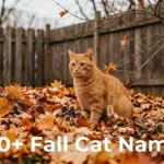 Orange tabby cat sitting in fall leaves, next to fall cat names list