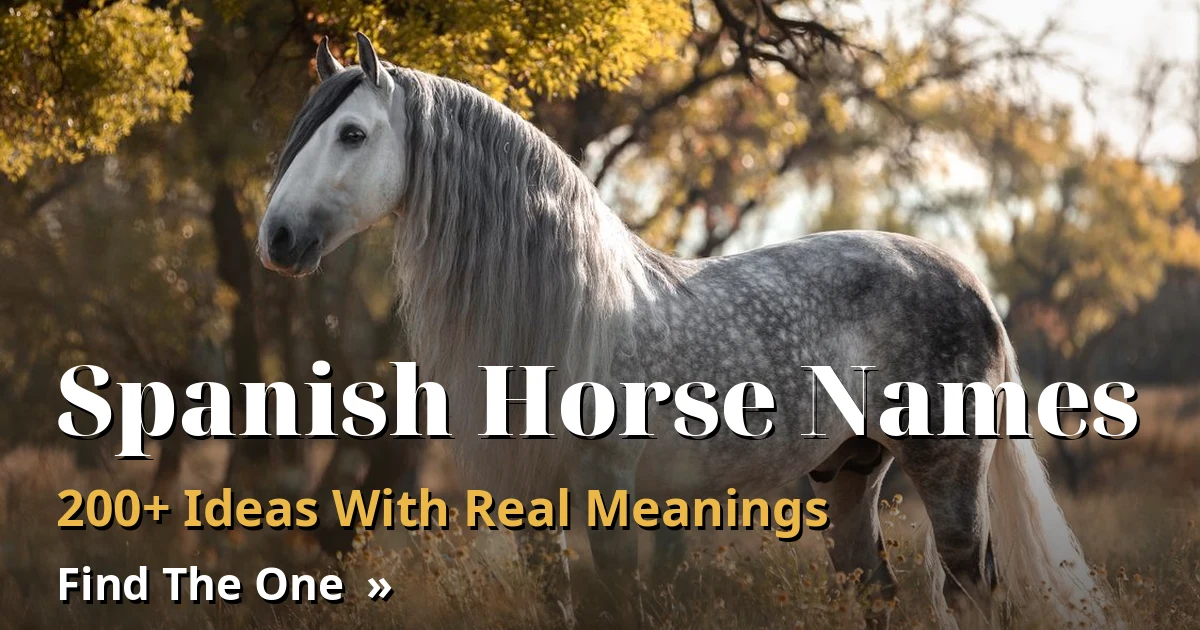 Spanish Horse Names