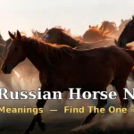 Russian Horse Names