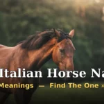 Italian Horse Names