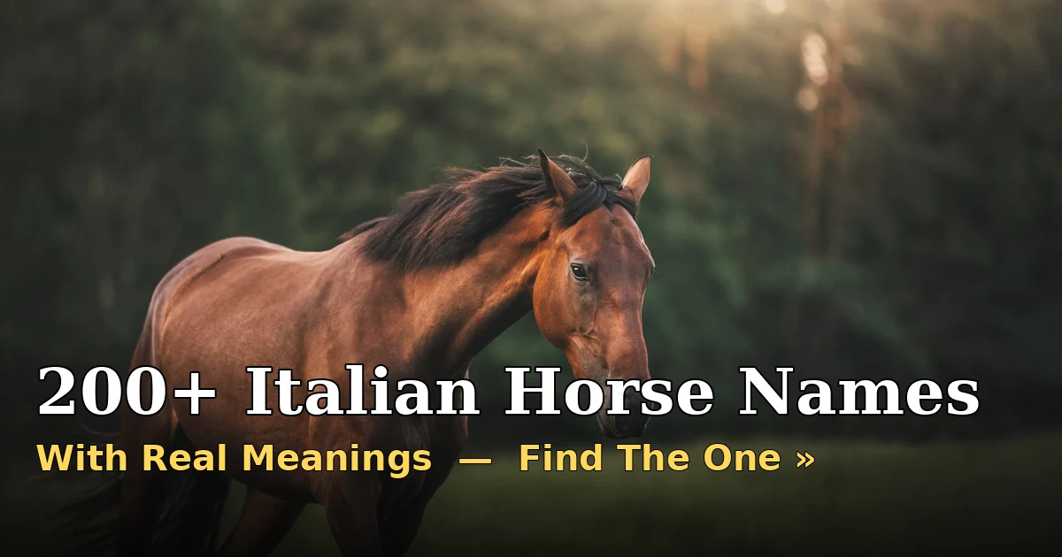 Italian Horse Names