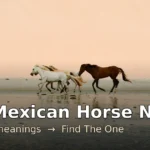200 Mexican horse names with meanings — horses galloping on golden sand dunes at sunset