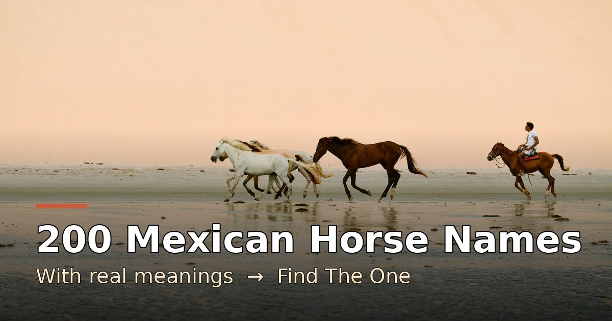 200 Mexican horse names with meanings — horses galloping on golden sand dunes at sunset