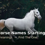 200+ horse names starting with N with meanings — white horse running through a forest