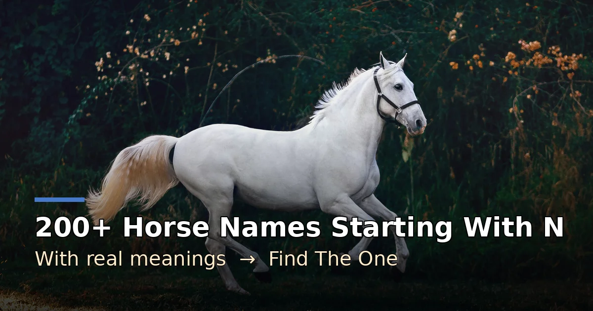 200+ horse names starting with N with meanings — white horse running through a forest